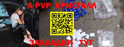гашик Кингисепп