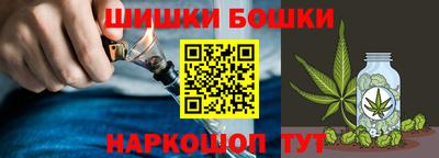 гашик Кингисепп