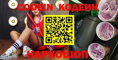 гашик Кингисепп