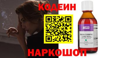 гашик Кингисепп