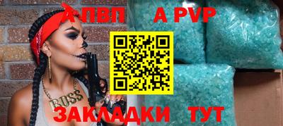 гашик Кингисепп