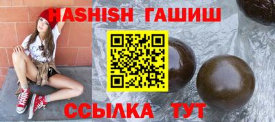 гашик Кингисепп