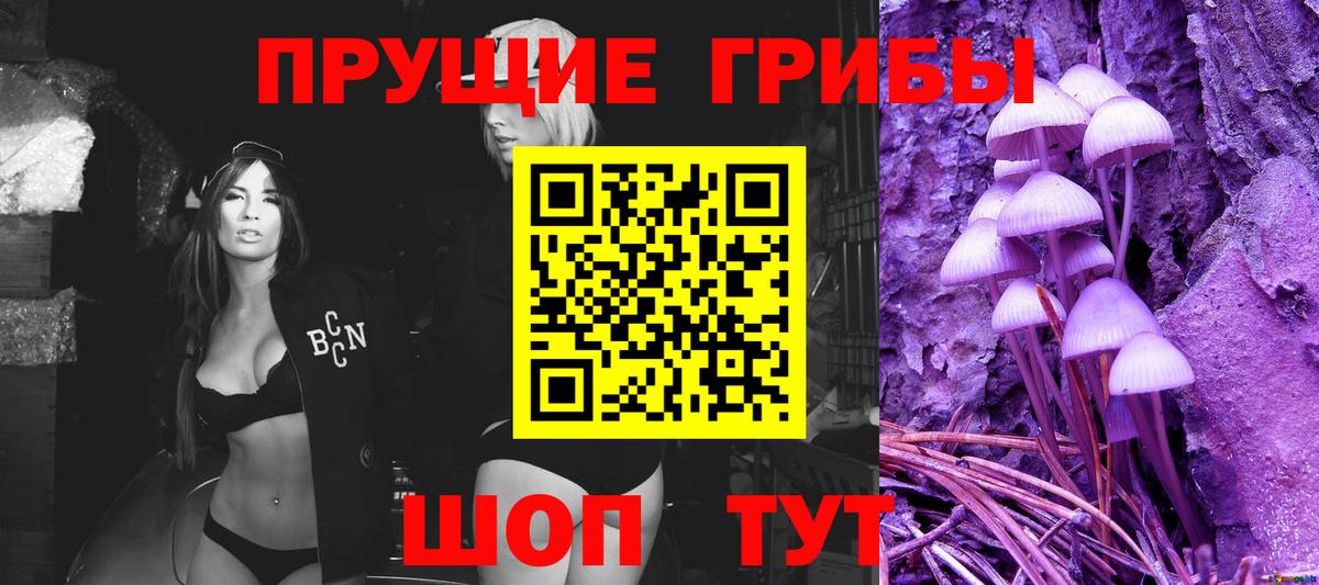 Ухта  Псилоцибиновые грибы мухоморы  Вход с VPN  Псилоцибиновые грибы Psilocybe 